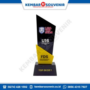 piala acrylic